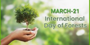Int Forest Day SFS